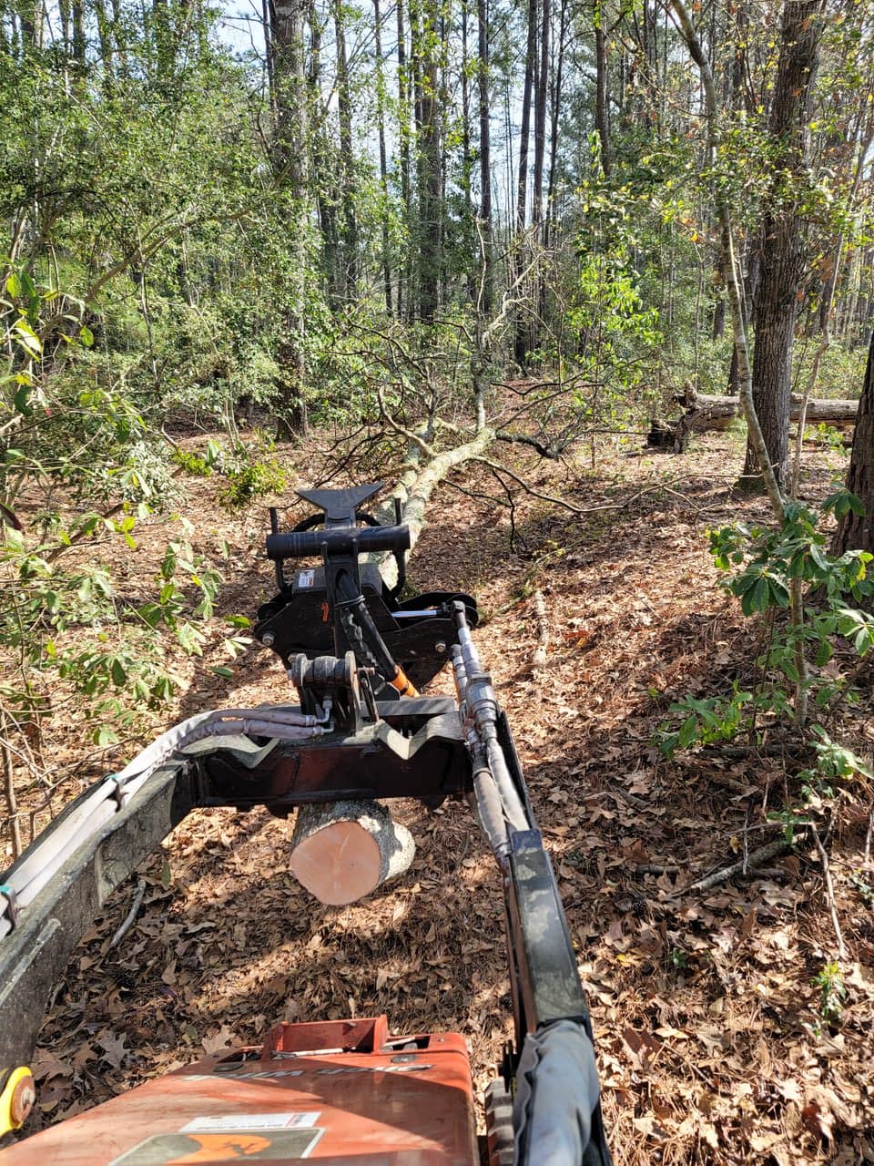 Equipment hauling timber during land clearing project