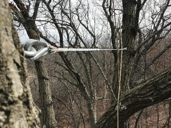 Steel cable support system installed in a mature tree